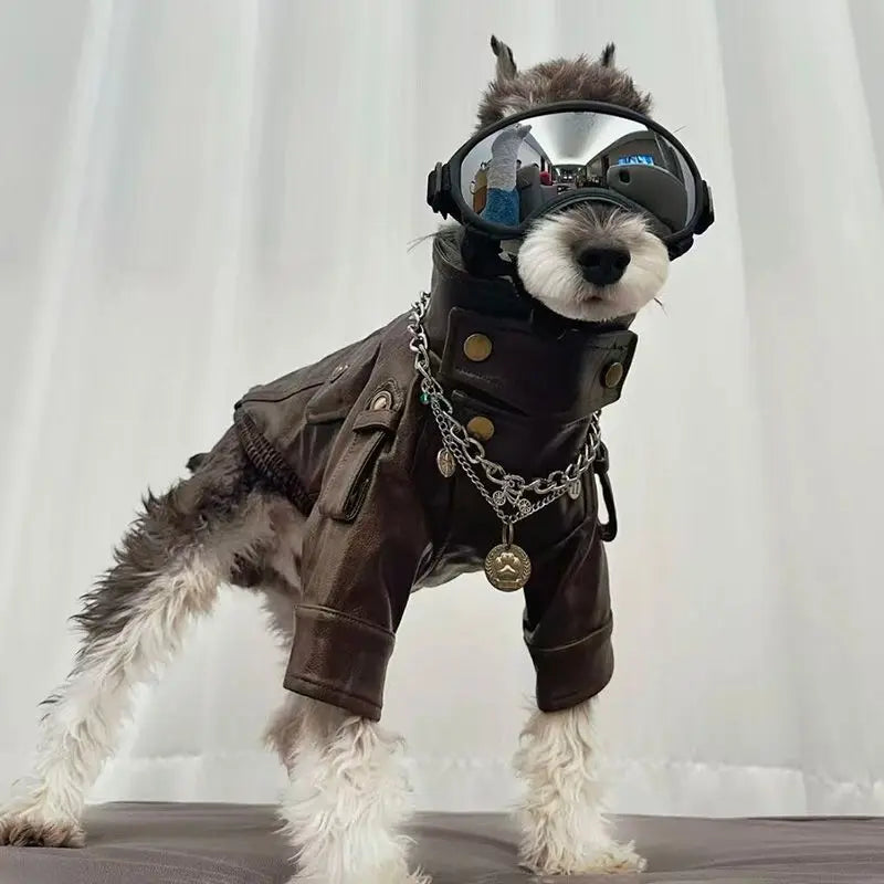 Roupa para Cães e Gatos: Jaqueta Motoqueiro de Couro PU Estilo Rocker para Cães, Preto e Marrom, Tamanhos S-XXL