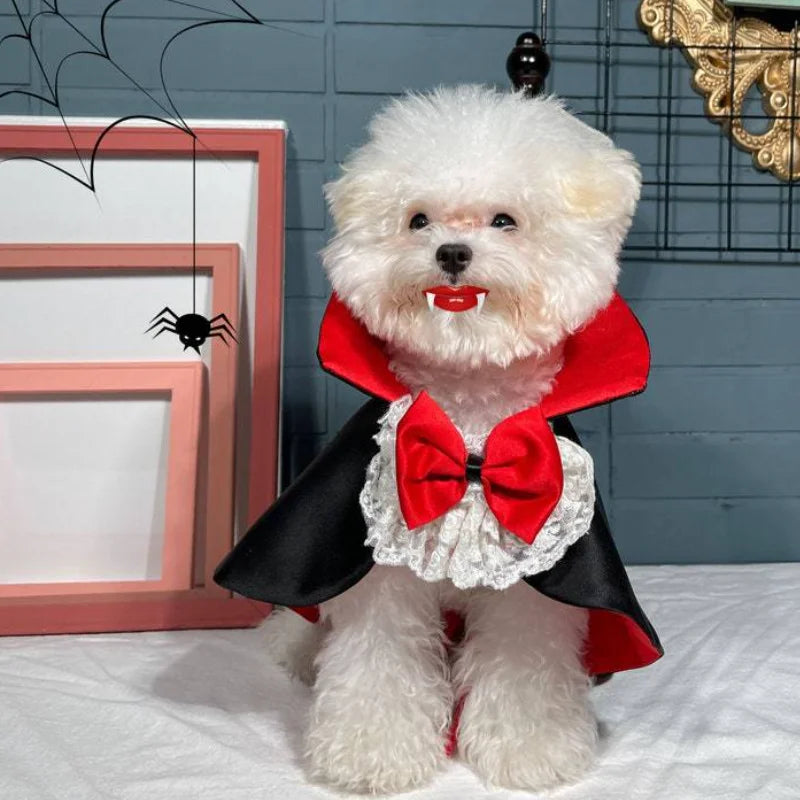 Halloween Manto Vampiro para Pet, Fantasias Cosplay para Cachorro de Gato Pequeno Médio, Roupas do Festival de Natal Kawaii