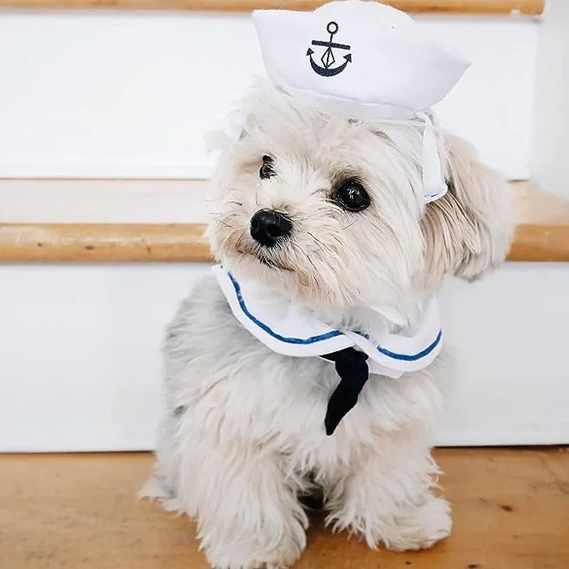 Engraçado trajes de gato de estimação pequeno cão coelho vestuário roupas para halloween cosplay marinha marinheiro roupas jaqueta manto acessórios para cães