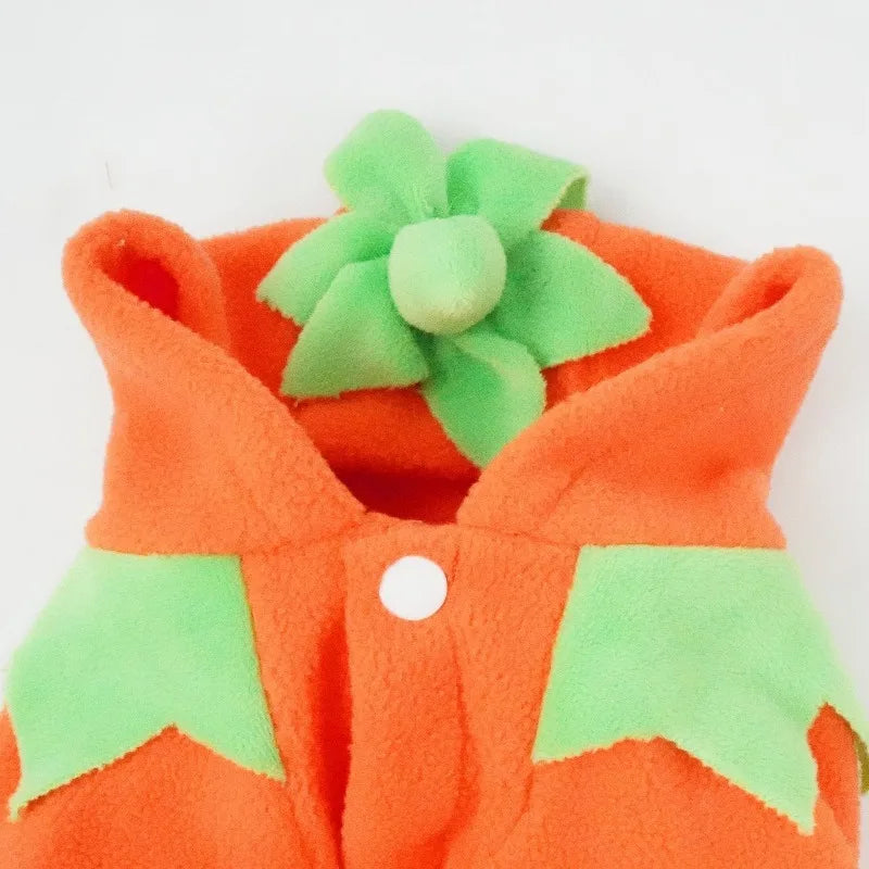 Fantasia de Abóbora para Cães, Oferta Imperdível de Halloween, Roupa Casual para Outono/Inverno.