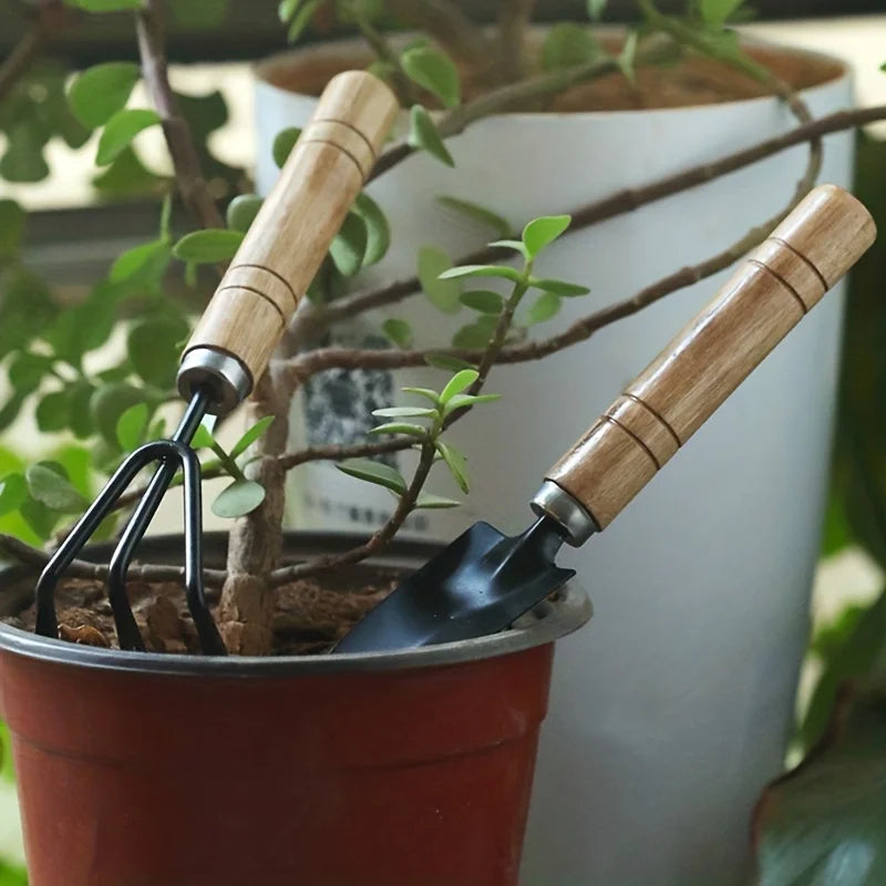 Mini Kit Jardinagem com Rake Trowel e Pá, Garden Tool Set, Plantas Suculentas e Cultivo do Solo