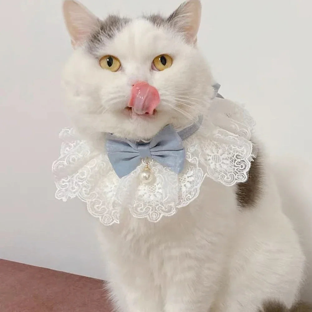 Laço bowknot pérola colar gato cão neckerchief pet gatos gatinho cão filhote de cachorro corda babador colar gravata pescoço cinta cachecol acessórios