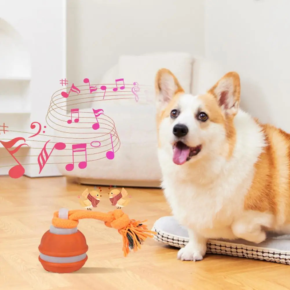 Bola Interativa para Cães, Brinquedo que Ativa com Movimento, Bola Rolante para Filhotes/Cães Pequenos, Brinquedo Automático Recarregável via USB