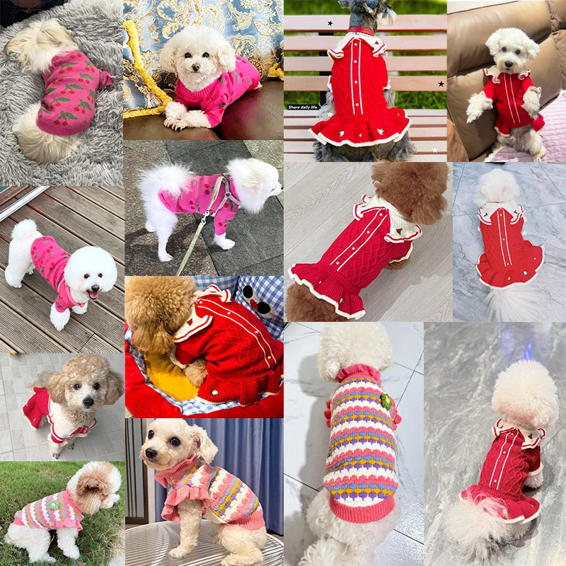 Roupas de luxo para cães e meninas, pulôver de malha chihuahua bichon, suéter doce, roupa de cachorro, jaqueta quente de inverno para animais de estimação