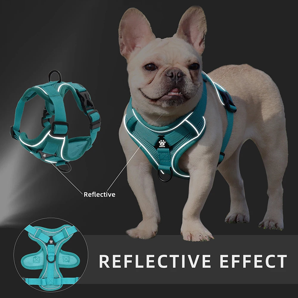 Conjunto de Arnês e Coleira para Cães Pequenos: Acessórios Essenciais para Bulldog Francês, Pug, Pitbull e Filhotes - Coleira Peitoral para Cães