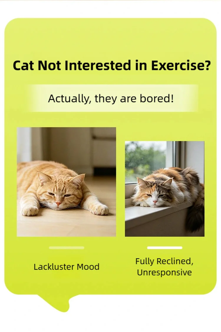 Brinquedo Elétrico Retrátil para Gatos: Placa de Exercício com Múltiplos Buracos para Aliviar o Tédio e Estimular a Energia (Estilo Whack-a-Mole)