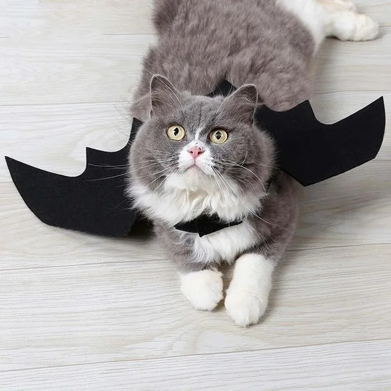 Black Bat Wings Harness Cosplay Costume para Animais de Estimação, Halloween, Fofos, Kawaii, Gato, Gatinho, Cão, Cachorro, Roupas, Presente de Festa