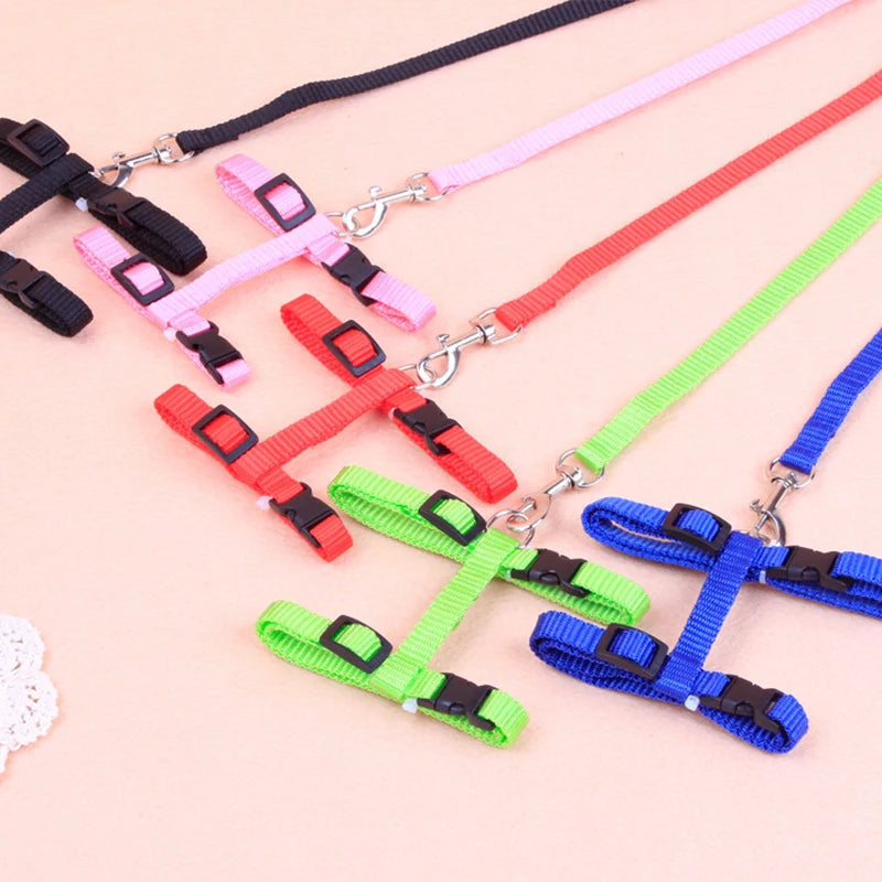 Coleira ajustável para gatos, coleira aconchegante de nylon para coelho, gatinhos, conjunto de coleira para cães e gatos, produtos para animais de estimação