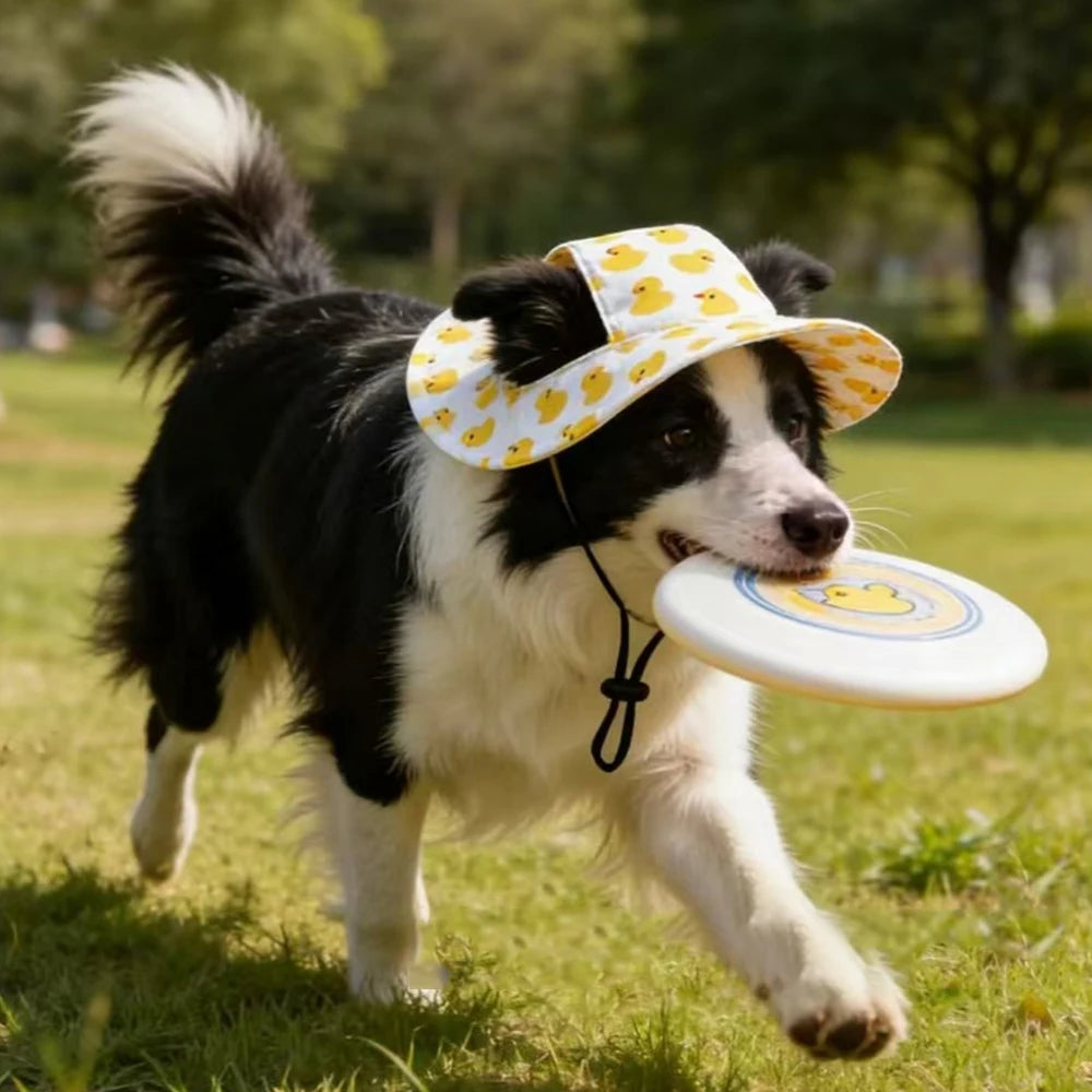 Chapéu de Sol para Pets Ajustável para Cães e Gatos de Pequeno e Médio Porte, Shiba Inu, Corgi, Filhotes, Gatinhos