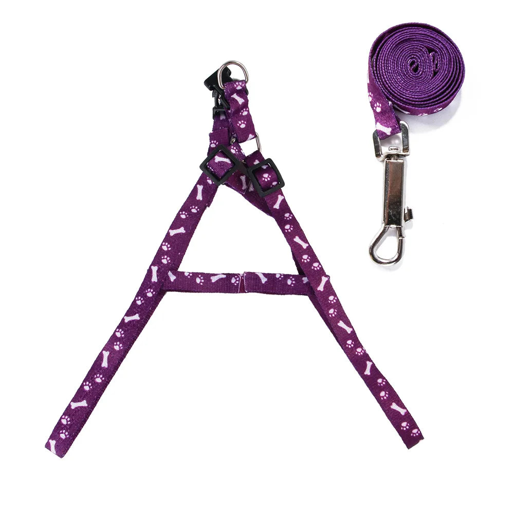 Coleira para Cães Pequenos, Coleiras para Filhotes, Conjunto de Coleira e Peitoral para Teddy, Conjunto de Corda de Guia Fofa