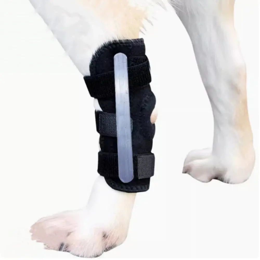 Cinta auxiliar para perna traseira de cachorro, tala de fixação de fratura para proteger as articulações, distorção de gato, suprimentos para animais de estimação Kasa & Pet