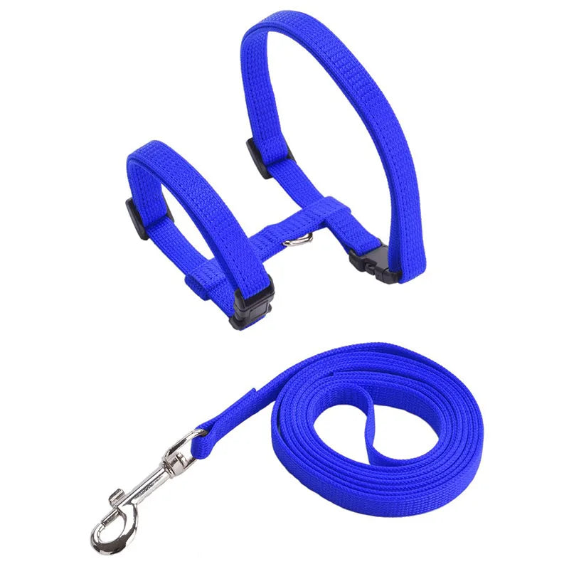 Coleira ajustável para gatos, coleira aconchegante de nylon para coelho, gatinhos, conjunto de coleira para cães e gatos, produtos para animais de estimação Kasa & Pet