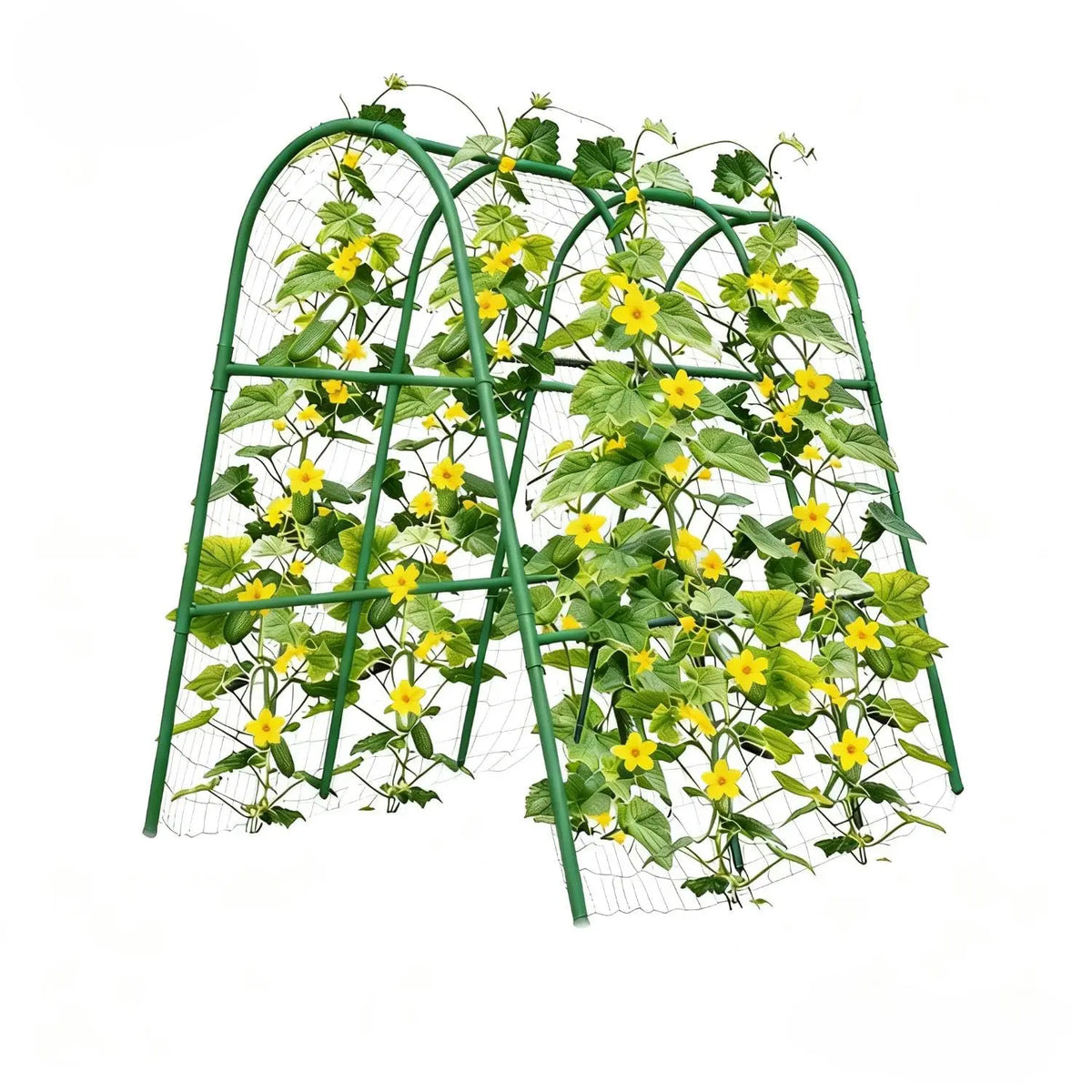 Arco de Jardim com Treliça para Canteiros Elevados, Suporte para Plantas como Pepinos, Melões, Uvas, Rosas e Vegetais Trepadores
