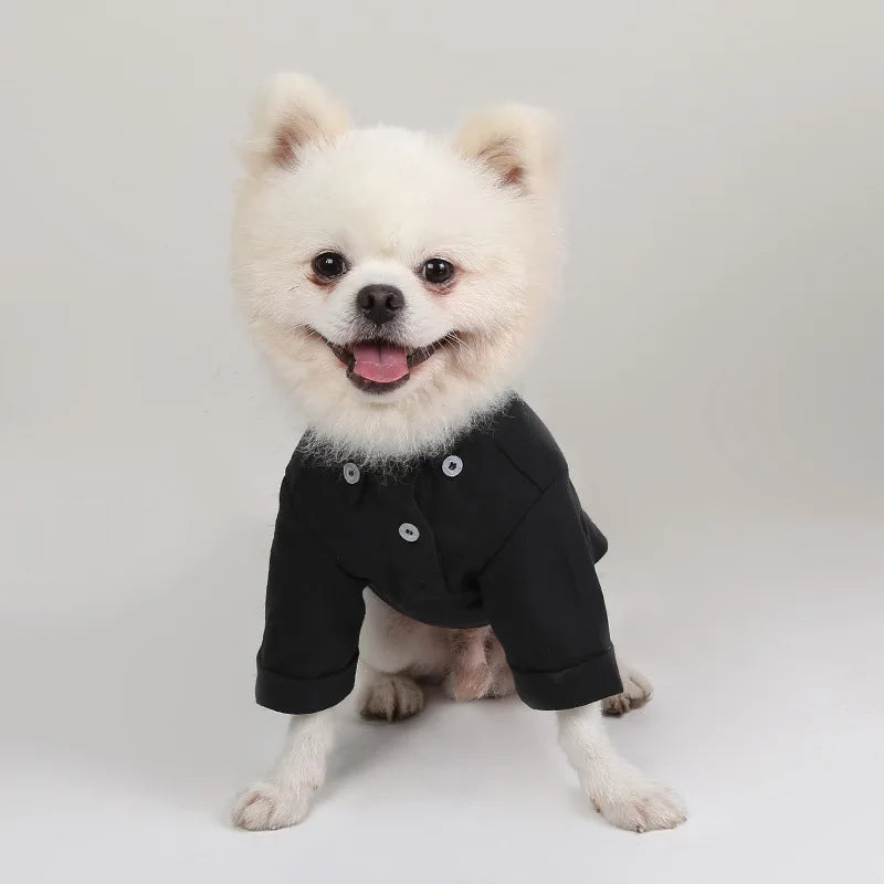 Primavera e outono camisas de fundo para animais de estimação versátil magro roupas para cães boutique roupas da moda para animais de estimação