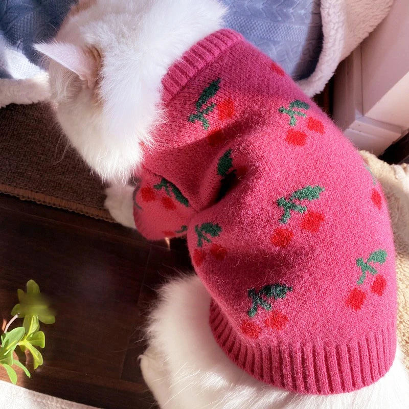 Roupas de luxo para cães e meninas, pulôver de malha chihuahua bichon, suéter doce, roupa de cachorro, jaqueta quente de inverno para animais de estimação