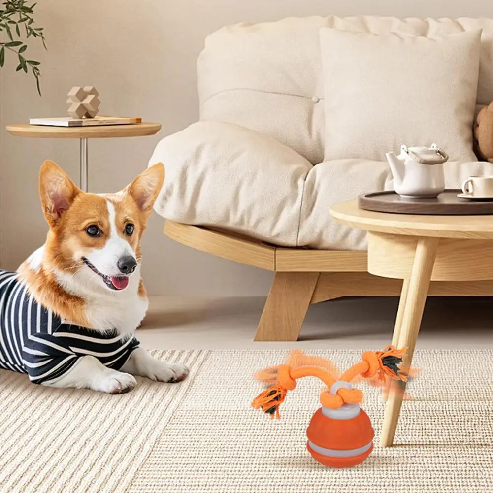 Bola Interativa para Cães, Brinquedo que Ativa com Movimento, Bola Rolante para Filhotes/Cães Pequenos, Brinquedo Automático Recarregável via USB