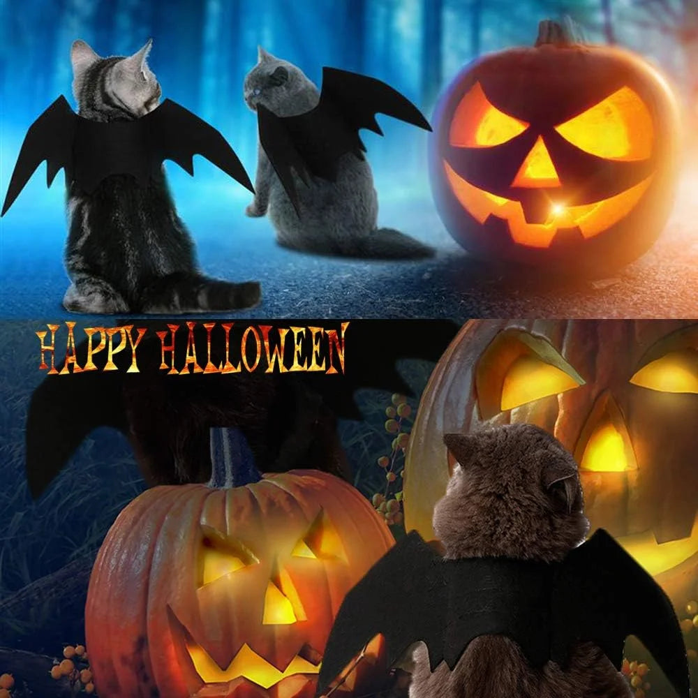 Asas de Morcego para Animais de Estimação de Halloween, Acessórios de Cosplay para Gatos e Cães, Adereços de Transformação para Festas Festivas com Atmosfera Divertida