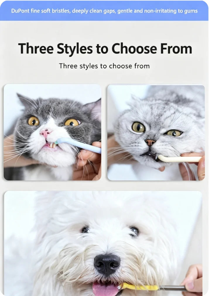 Escova de Dentes para Animais de Estimação, Escova de Dentes Plástica para Cães, Remoção de Tártaro, Limpeza Bucal, Cuidados com Animais de Estimação, Limpeza Bucal para Gatos