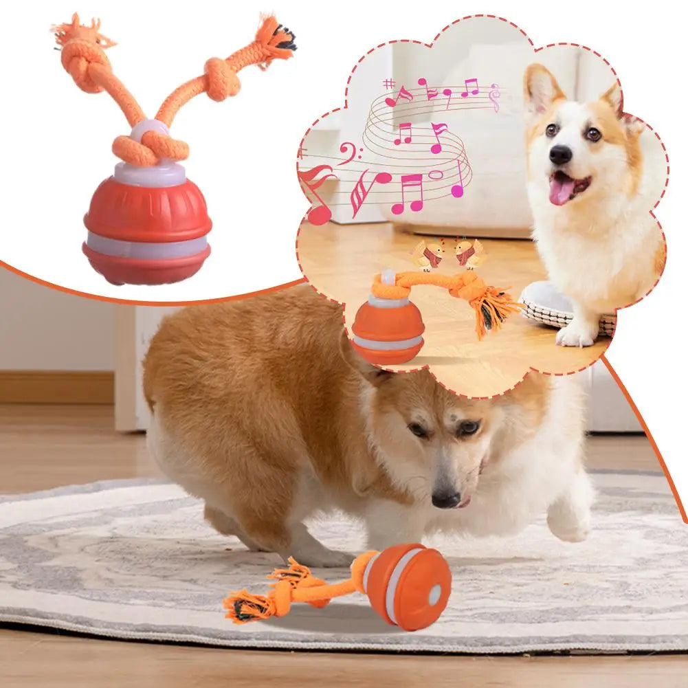 Bola Interativa para Cães, Brinquedo que Ativa com Movimento, Bola Rolante para Filhotes/Cães Pequenos, Brinquedo Automático Recarregável via USB