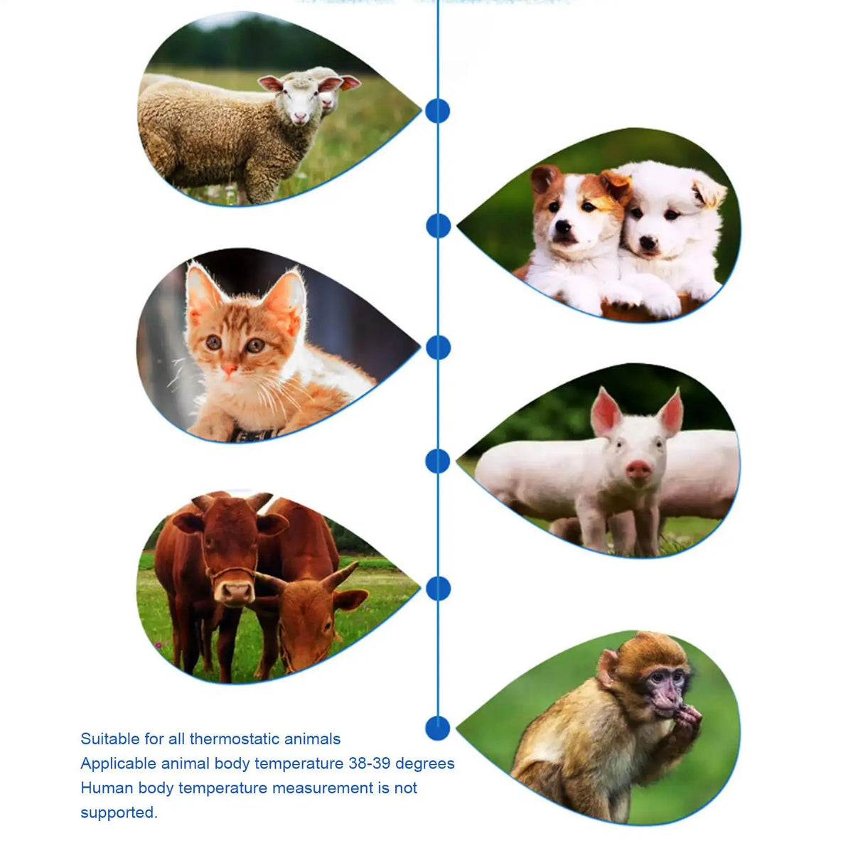 Termômetros para Animais de Estimação para Cães, Termômetros Veterinários, Dispositivo Preciso para Detecção de Febre em Animais de Estimação, Suprimentos para Animais de Estimação, Termômetros Veterinários