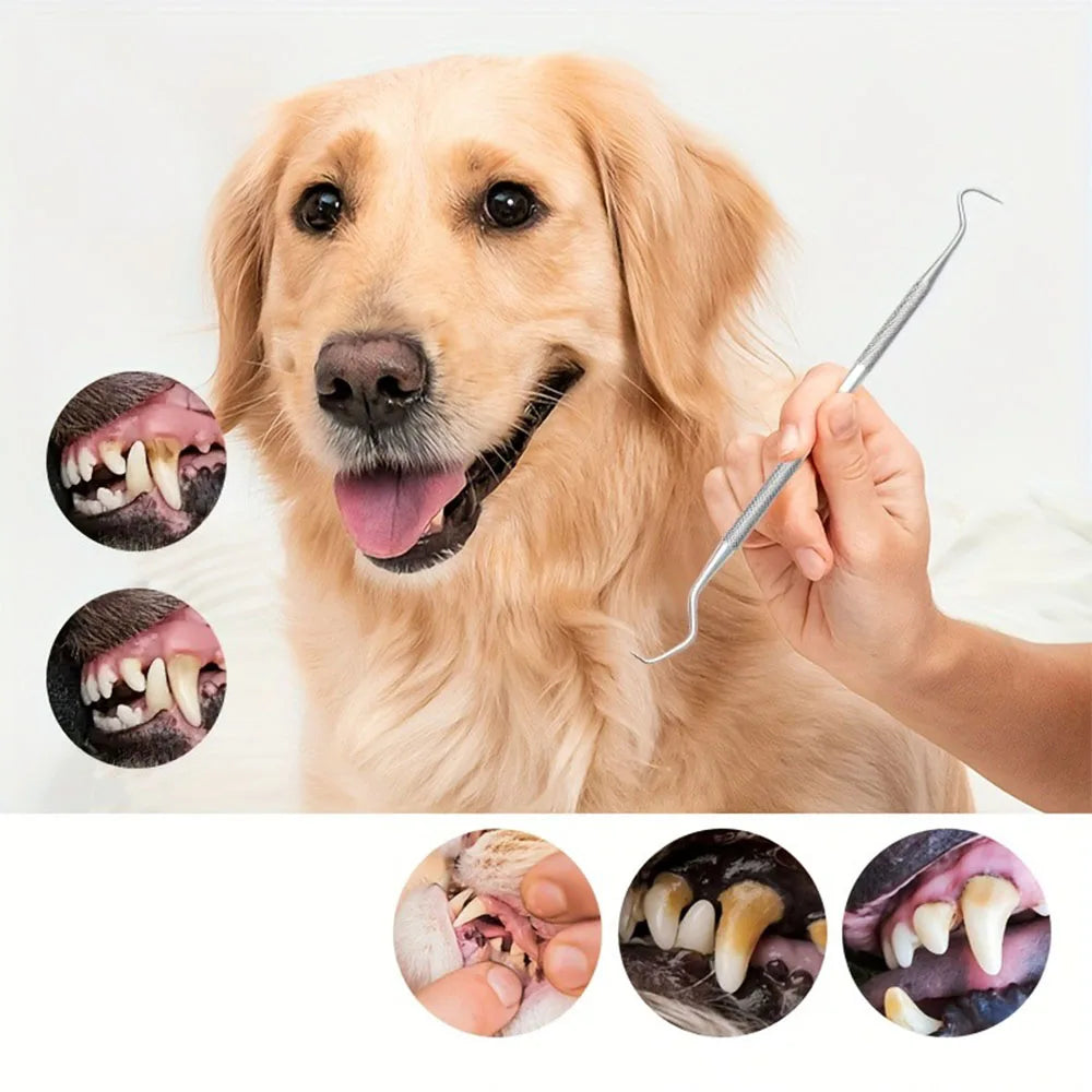 Ferramentas de Limpeza Dental para Animais de Estimação, Escova de Dentes de Silicone com Luva para Dedo, Escova de Dentes para Gatos e Cães, Reutilizável, Kit de Cuidados Orais para Animais de Estimação, Adequado para