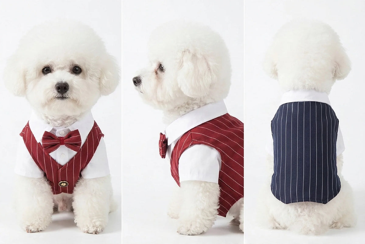 Traje de Primavera para Cães de Estimação: Camisa e Colete de Smoking para Casamento, Fantasia de Cavalheiro para Teddy, Bichon e Cães Pequenos