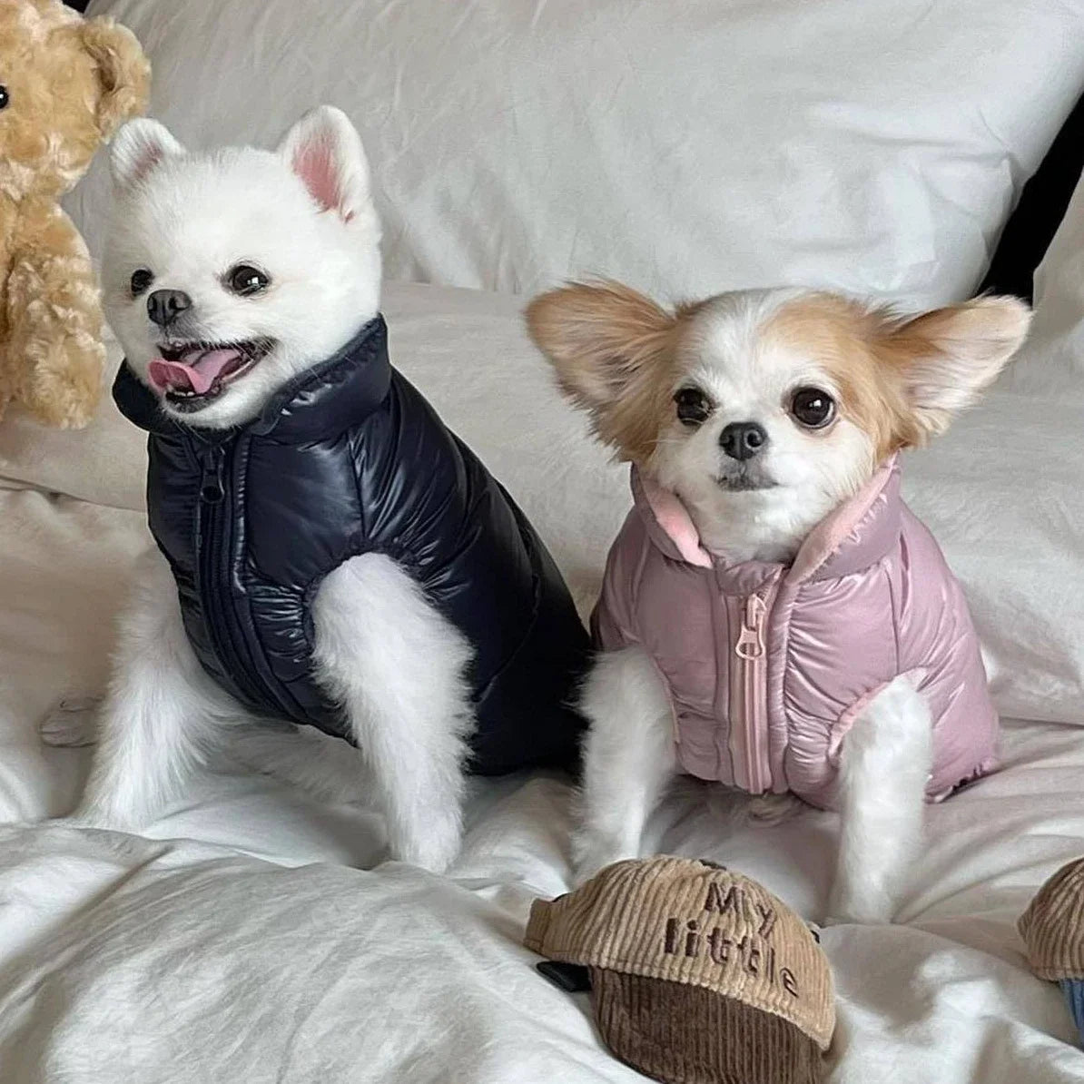 Colete monocromático para cães pequenos, casaco quente para gato, roupas de buldogue francês, roupas de pet da moda, inverno