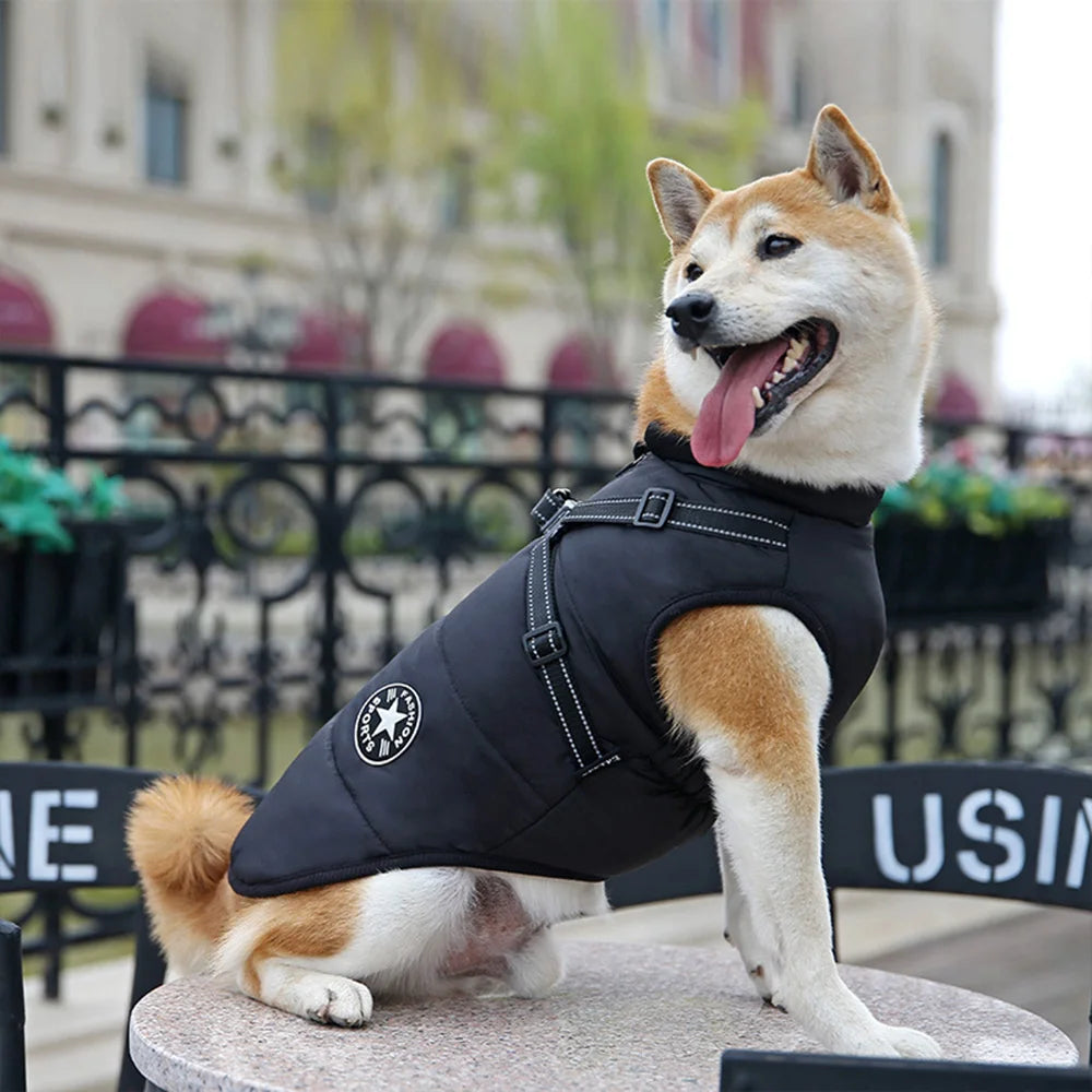 Colete Impermeável para Cães com Arnês Refletivo, Roupas de Inverno para Cães Pequenos e Médios, Shiba Inu, Doberman, Jaquetas para Atividades ao Ar Livre