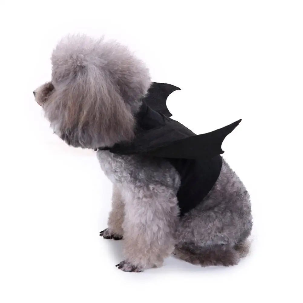 -Disfraz de animal de estimação de Halloween - Fantasia de arnês de asas de morcego pretas fofas para gatos e cães, cosplay de festa de Halloween, suprimentos para animais de estimação