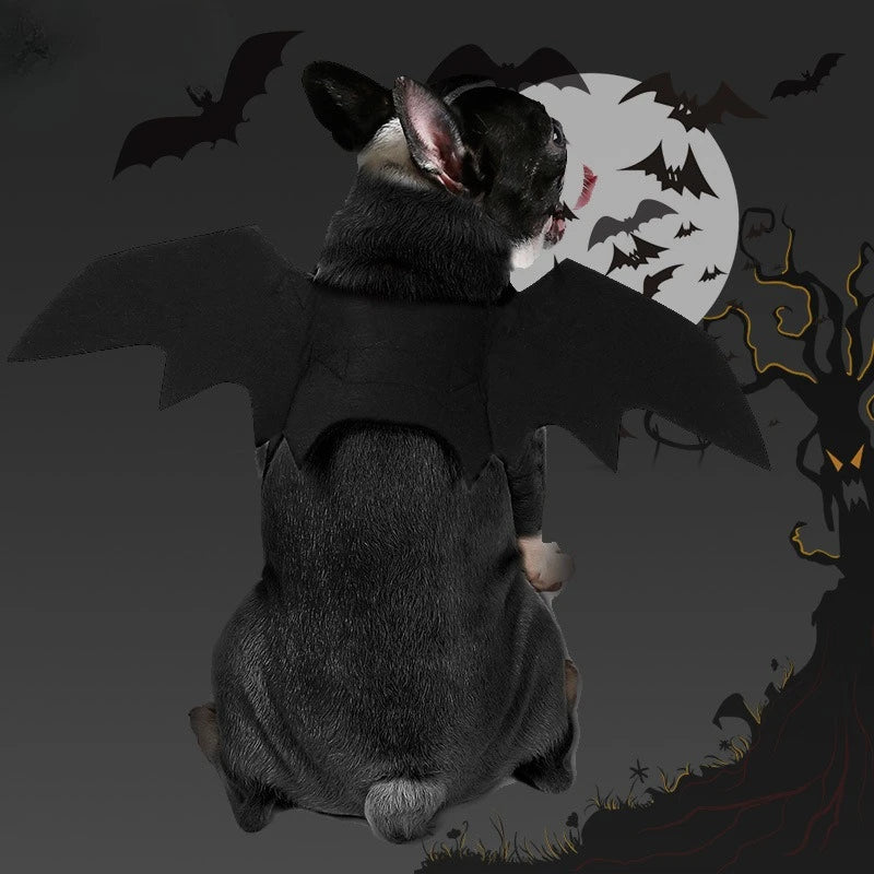 Halloween animal de estimação asas de morcego traje de feltro para cães pequenos gatos bonito engraçado roupa para animais de estimação vestuário para festa de halloween cosplay acessórios