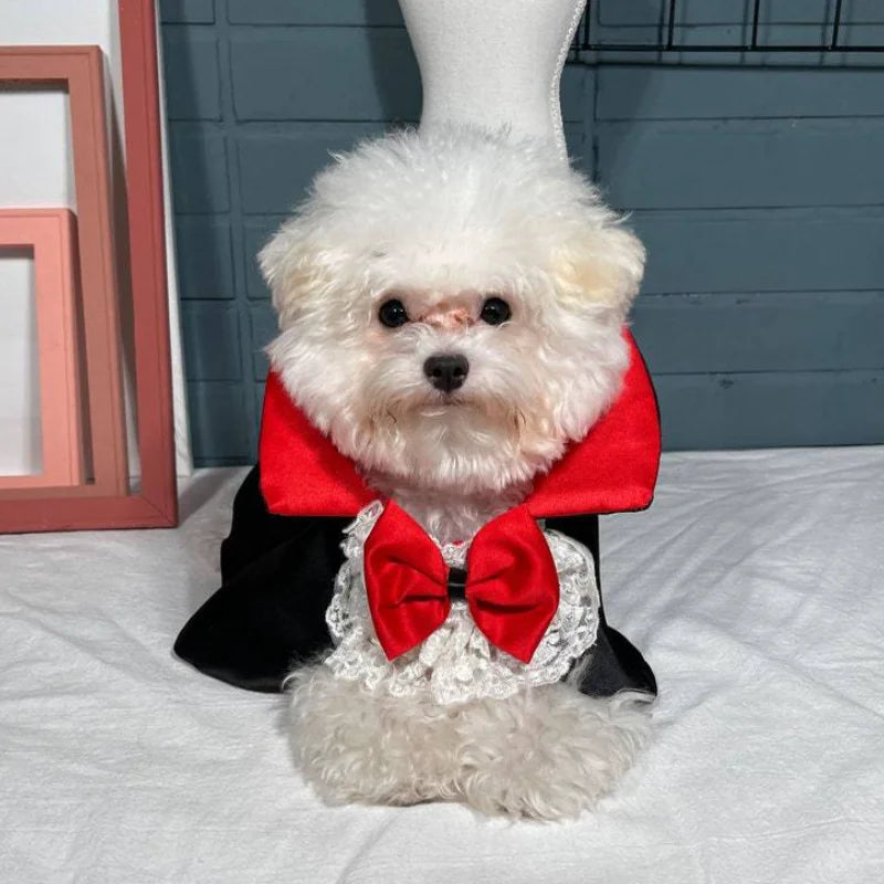 Halloween Manto Vampiro para Pet, Fantasias Cosplay para Cachorro de Gato Pequeno Médio, Roupas do Festival de Natal Kawaii