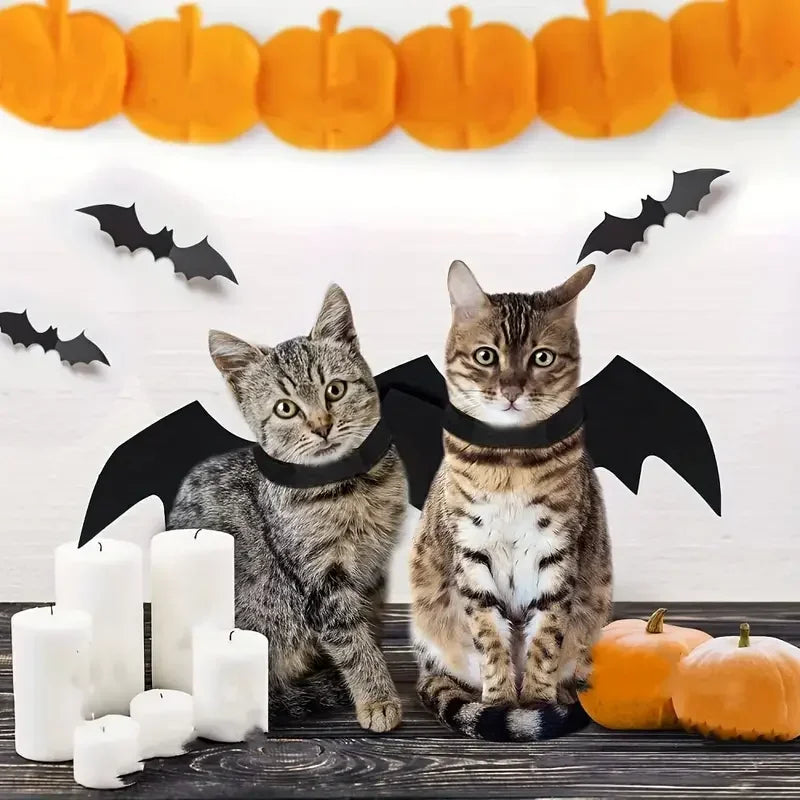 Halloween animal de estimação asas de morcego traje de feltro para cães pequenos gatos bonito engraçado roupa para animais de estimação vestuário para festa de halloween cosplay acessórios
