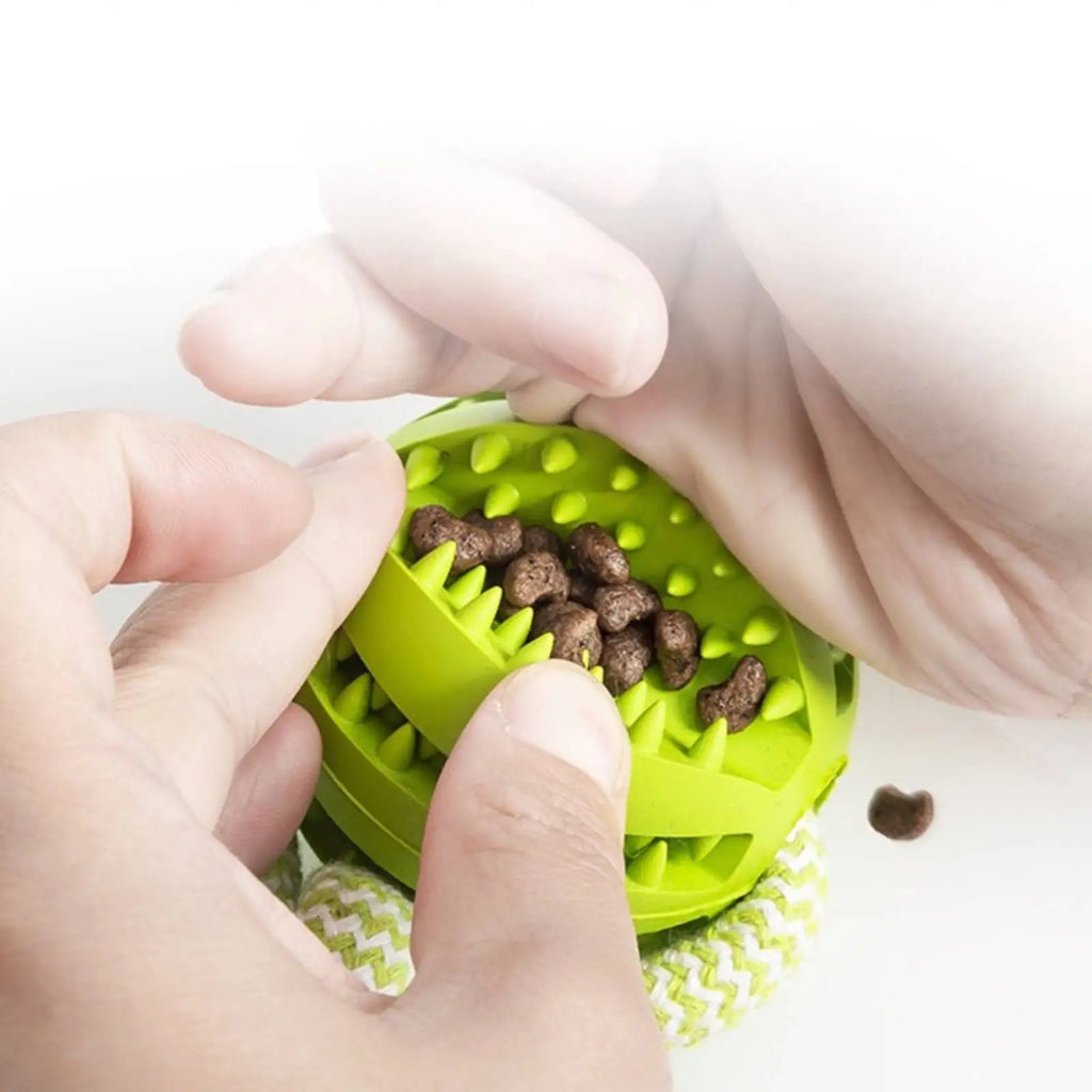 Brinquedo para Cães, Bola de Algodão Resistente a Mordidas, Bola Interativa para Limpeza de Dentes e Treinamento, Brinquedo Educativo