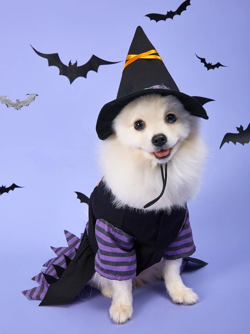 Ajustável Halloween Trajes para cão e gato, Engraçado Pet Roupas, Cão Cosplay Costume, Casaco De Cães