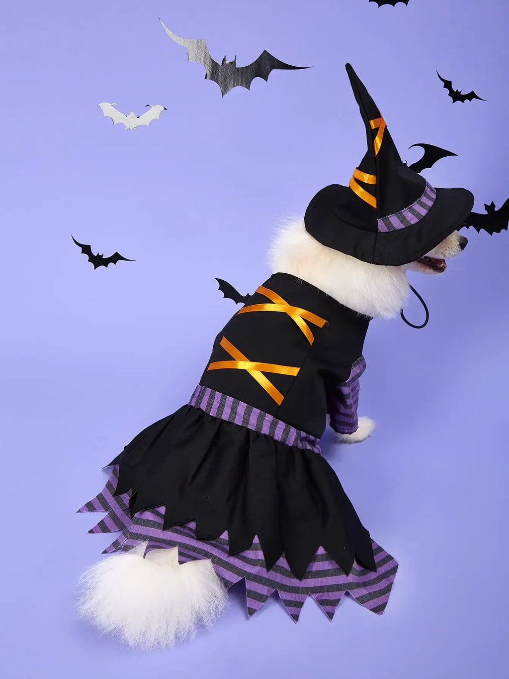 Fantasia de Bruxa para Animais de Estimação de Halloween com Chapéu, Vestido de Bruxa para Cães e Gatos, Roupa de Cosplay para Filhotes e Gatinhos, Fantasia para Festa de Fim de Ano
