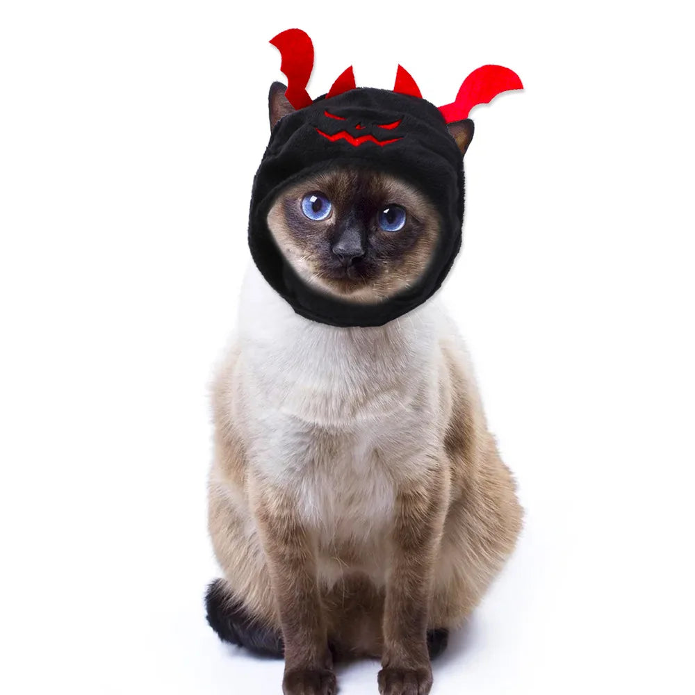 Halloween Cosplay Traje para Animais de Estimação, Bat Chapelaria, Chapéu, Trajes para Cães Pequenos e Gatos, Pet Supplies
