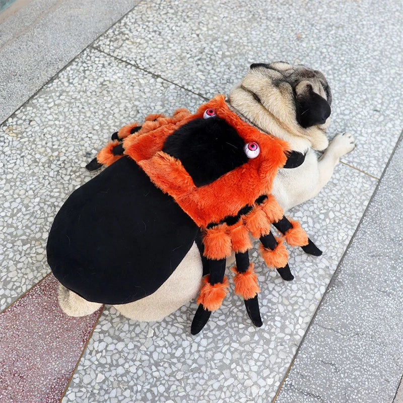 Red Eyed Spider Chest e Back Transformation Traje, Pet roupas, Halloween Party Supplies, Role Playing, bonito, gatos, cão