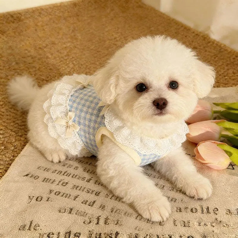 Roupas para cães e gatos, primavera/verão, respirável, confortável, estilo princesa, saia de renda com laço, para cães pequenos, ursinhos de pelúcia