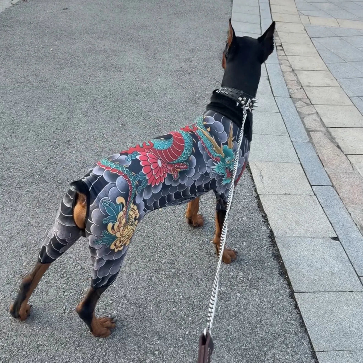 Roupa para Tatuagem de Animais de Estimação, Anti-Queda de Pelo, Roupa Respirável para Animais de Quatro Patas, Roupa Personalizada para Animais de Estimação, Roupa Divertida para Animais de Estimação
