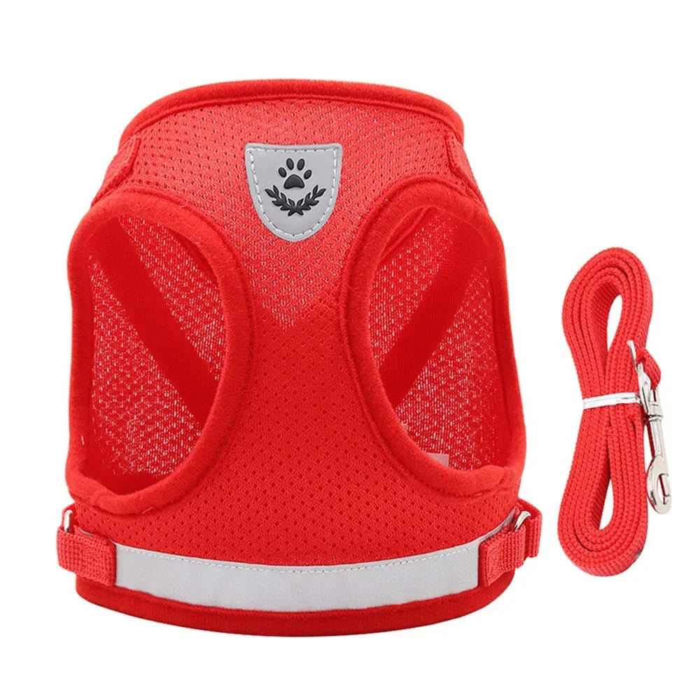 Conjunto de coleira de chumbo para gatos, ajustável, reflexivo, à prova de fuga, colete de malha para animais de estimação, coleira para cachorro, cachorro pequeno, gato, suprimentos para animais de estimação