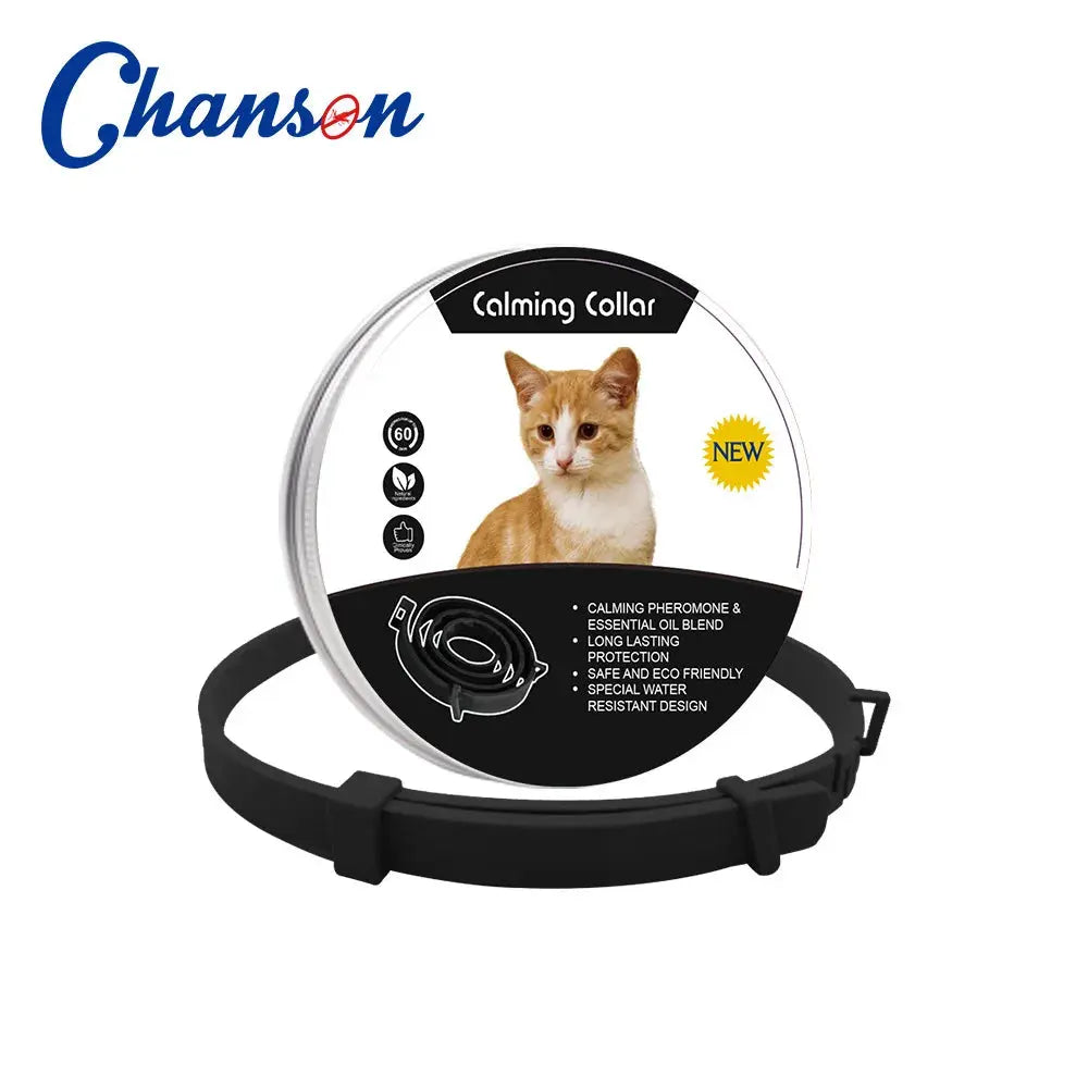 Dog1-orange-62cm
