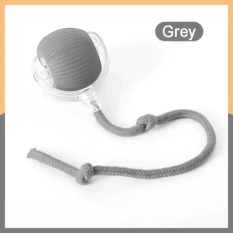 Brinquedo para Cães, Bola Automática para Passeio, Alivia o Tédio, Brinquedo Elétrico Inteligente para Cães, Resistente a Mordidas, Treinamento de Filhotes Kasa & Pet