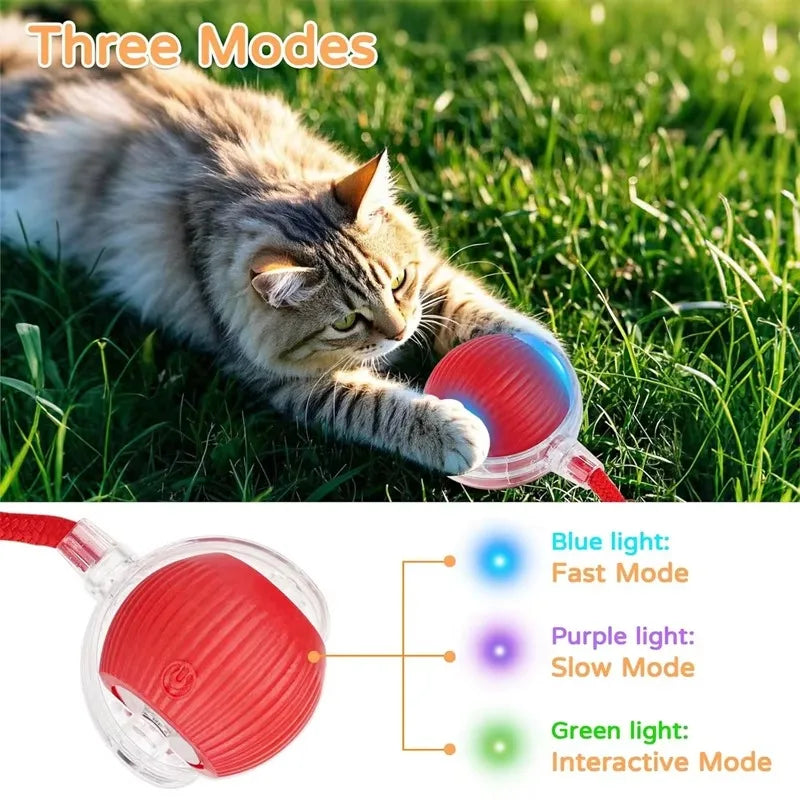 Brinquedo para Cães, Bola Automática para Passeio, Alivia o Tédio, Brinquedo Elétrico Inteligente para Cães, Resistente a Mordidas, Treinamento de Filhotes