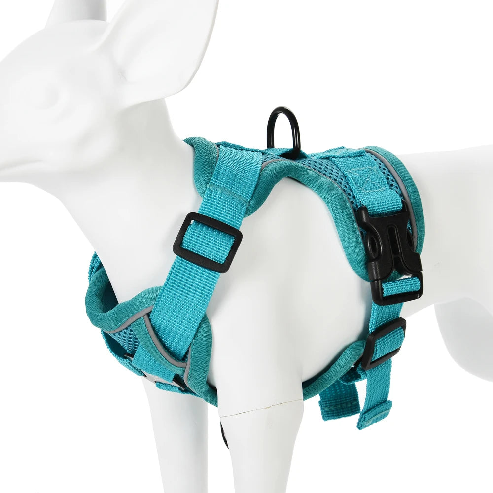 Conjunto de Arnês e Coleira para Cães Pequenos: Acessórios Essenciais para Bulldog Francês, Pug, Pitbull e Filhotes - Coleira Peitoral para Cães
