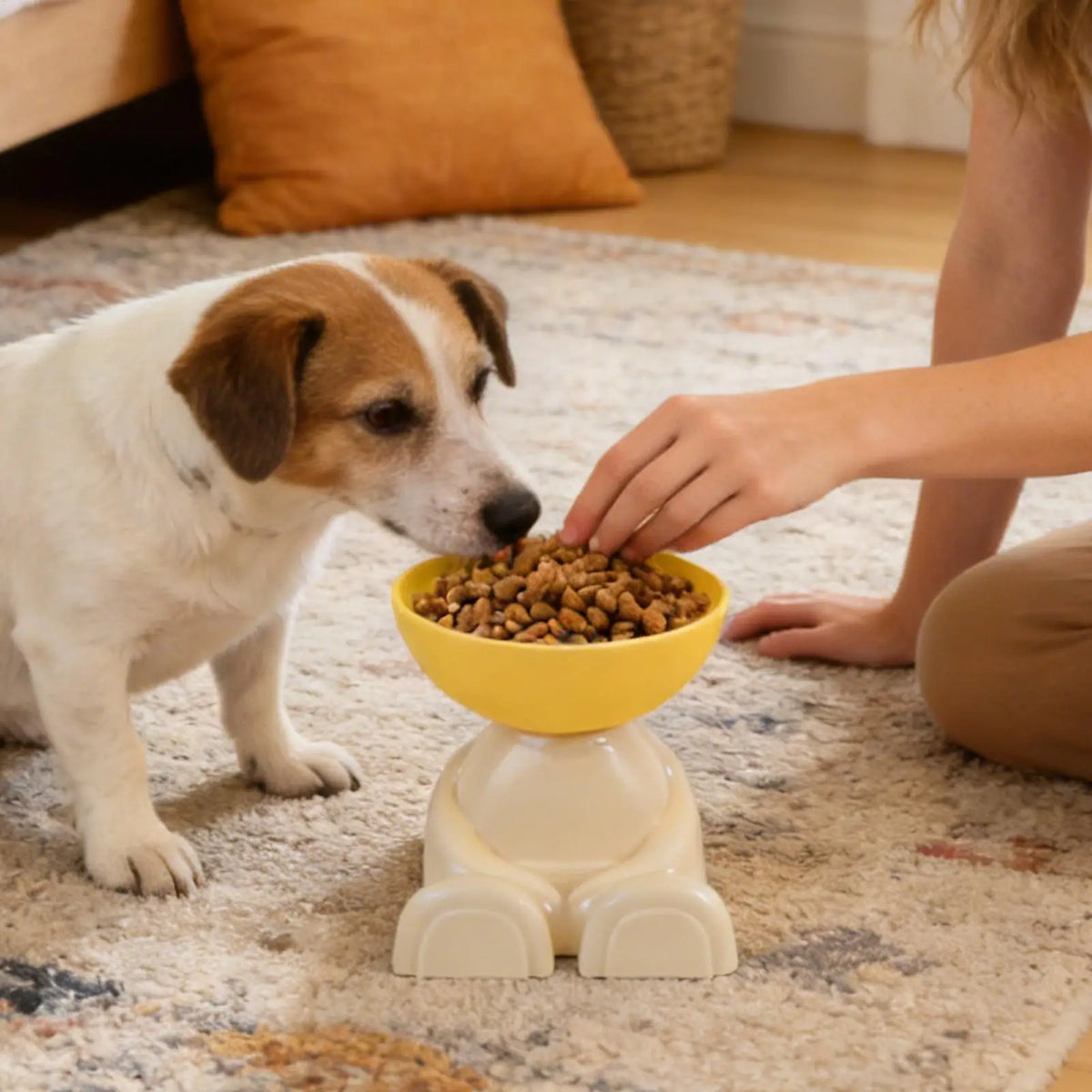Tigelas para Alimentação de Gatos e Cães, Prato Elevado para Alimentos, Comedouro Antiderrapante para Animais de Estimação, Ideal para Cozinha, Apartamento e Uso Interno