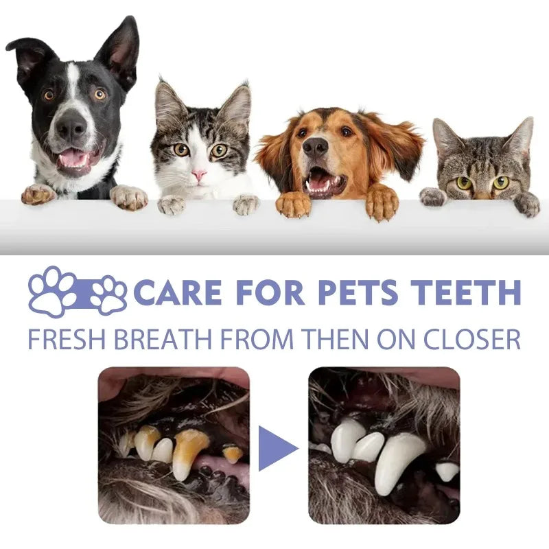 Spray de Cuidado Oral para Cães Limpeza de Dentes de Animais de Estimação Hálito Fresco Higiene Dental Diária Cuidado Suave para a Boca Fácil de Usar