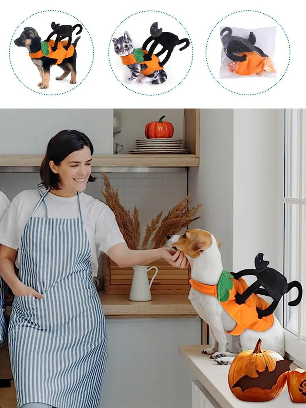 Halloween Pumpkin Pet Costume, Trajes de gato preto para cães, Cosplay para animais de pequeno a grande porte