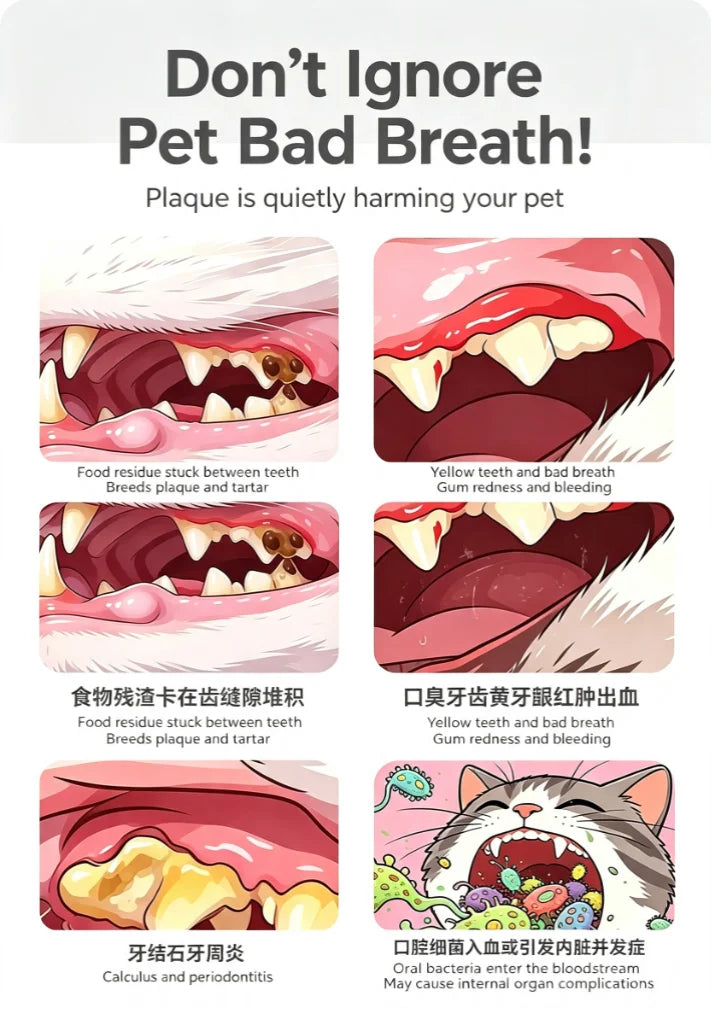 Escova de Dentes para Animais de Estimação, Escova de Dentes Plástica para Cães, Remoção de Tártaro, Limpeza Bucal, Cuidados com Animais de Estimação, Limpeza Bucal para Gatos