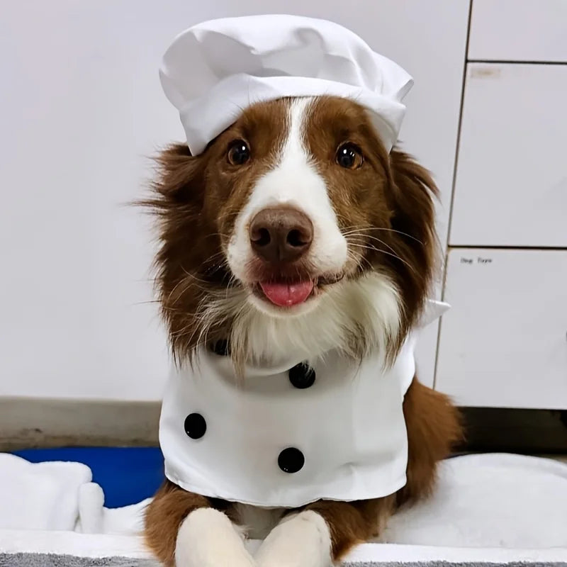 Conjunto de Fantasia para Animais de Estimação Top Chef com 2 Peças, Chapéu e Avental, Roupas Engraçadas e Fofas para Gatos e Cães, Fantasia de Chef para Cães em Feriados, Roupas com Tema de Restaurante