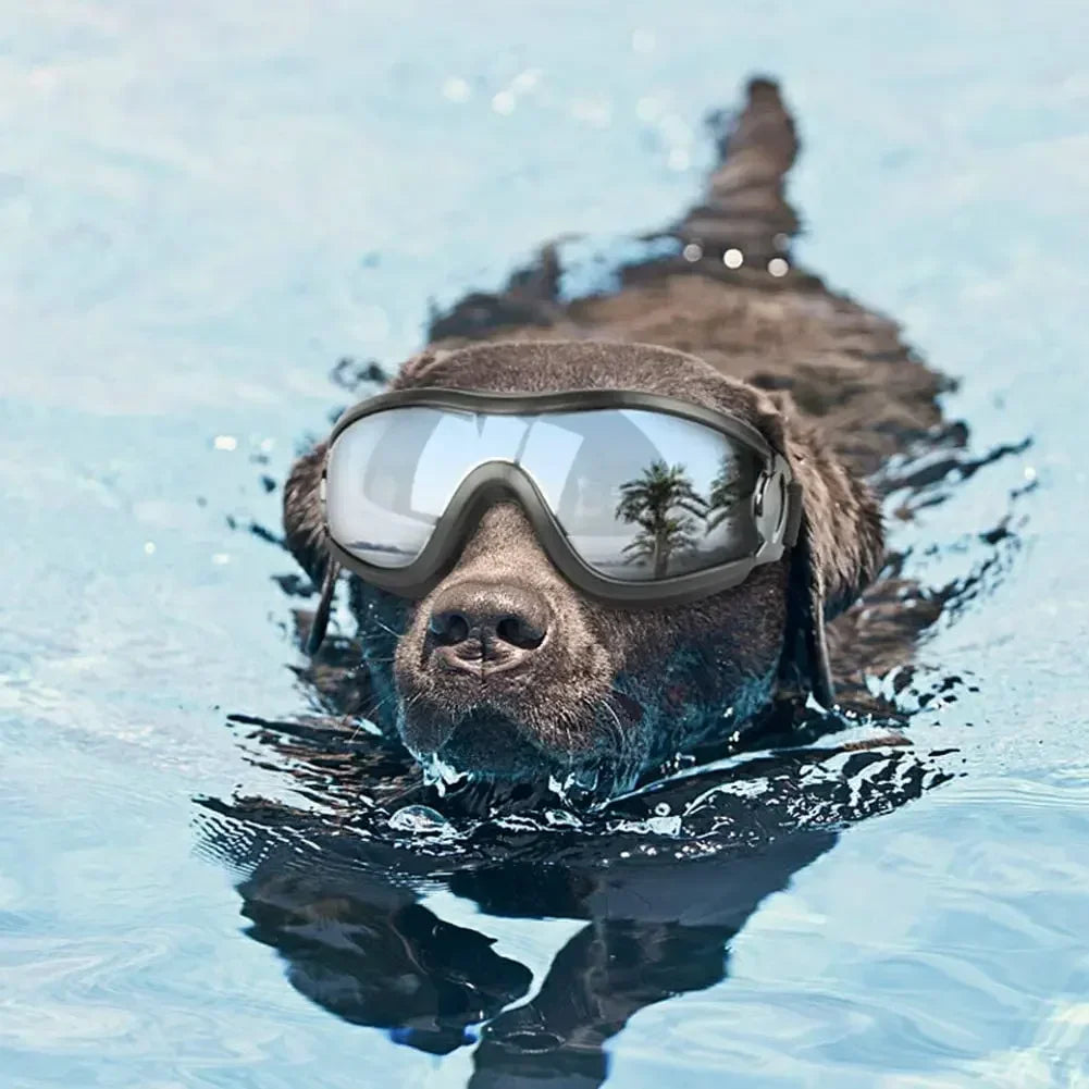 Óculos de sol ajustáveis para cães, com proteção UV, para uso em animais de estimação, proteção para os olhos, cor preta, óculos de sol para cães, artigos para cães.